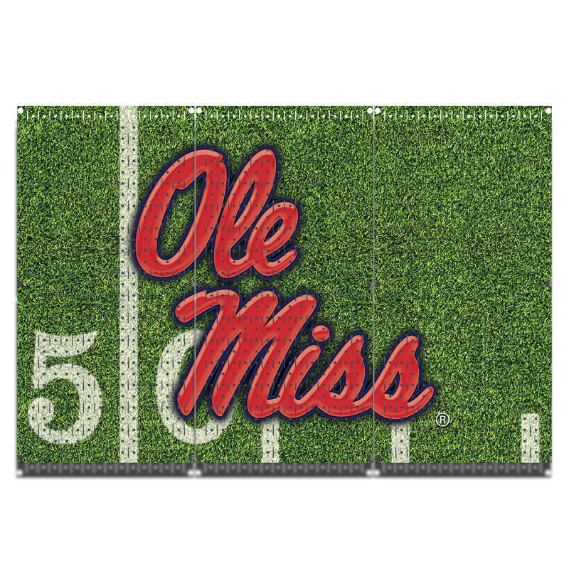 HWC13077 - Ole Miss | Printed by HangTime®