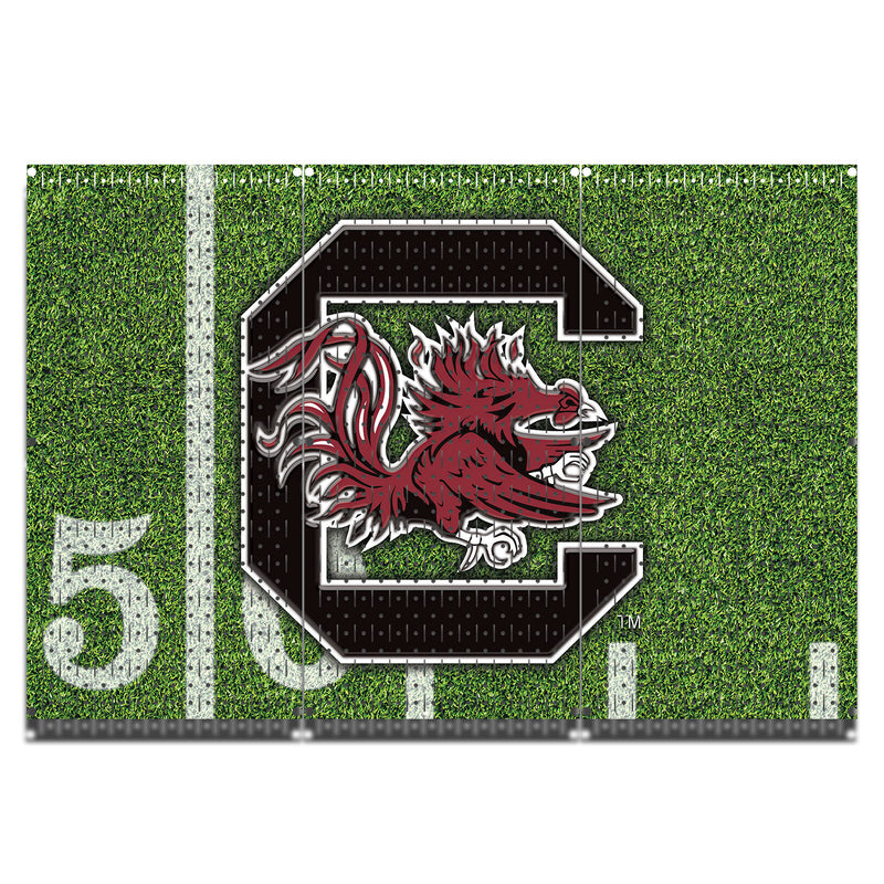 HWC13075 - South Carolina Gamecocks -  Printed Pegboards by HangTime®