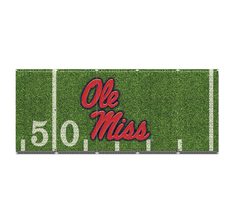 HWC15077 | Ole Miss | Printed Pegboard by HangTime®